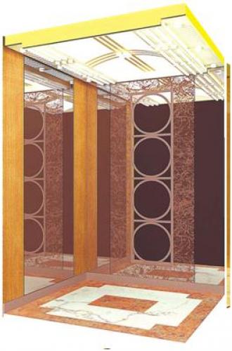 THANG MÁY TẢI KHÁCH FJ-CB101